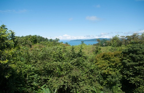 Bahía Drake Hotel | Drake Bay Greenleaf