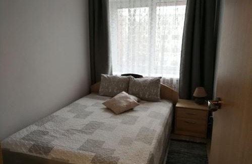 Siauliai City Center Apartamento | Draugystės Apartment