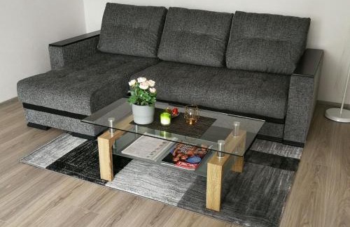 Siauliai City Center Apartamento | Draugystės Apartment