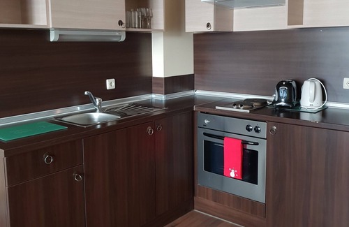 Shiligarnika Apartamento | Dream Apart Hotel 207