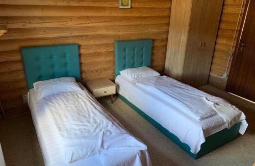 Plavya Cabina | Dream Forest