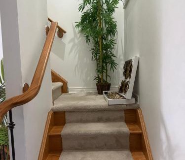 Thorold Casa | Dream Homes