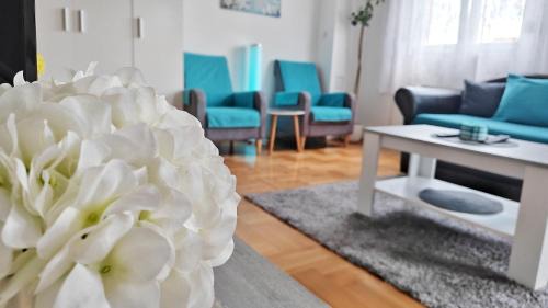 Pirot Apartamento | Dream Rental Pirot Apartman