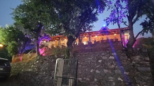 Amritpur Casa | Dream Stay