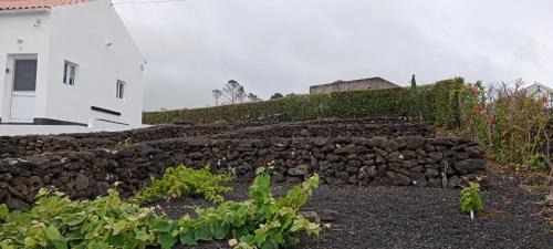 Madalena Casa | Dream View in Pico