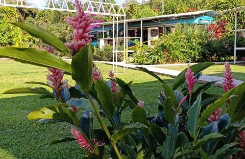 Poas Volcano National Park Otro | Dreamcatcher House Bus Experience 2