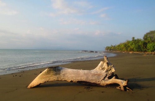 Playa Matapalo Cama Y Desayuno | Dreamy Contentment