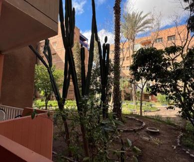 Majorelle Apartamento | Dreamy Majorelle