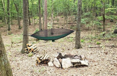 Grandview Casa | Dreamy Treehouse Cabin Oasis Near Piney River, Tennessee