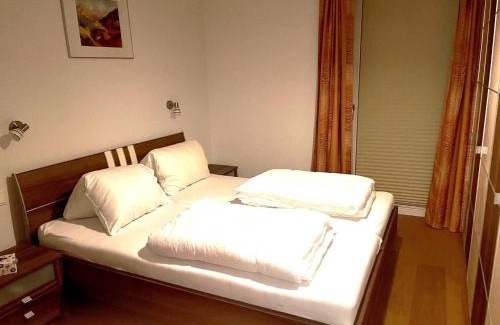 Viehhofen Apartamento | Drei Berge Top 4