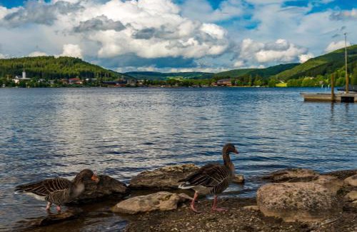 Titisee-Neustadt Apartamento | Drei Tannen - Wohnung 06 - Apartmenthaus, Titisee, nahe Badeparadies