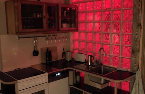 Loschwitz Apartamento | Dresden: Studio apartment near the Elbe with garden and workshop sauna