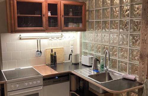 Loschwitz Apartamento | Dresden: Studio apartment near the Elbe with garden and workshop sauna