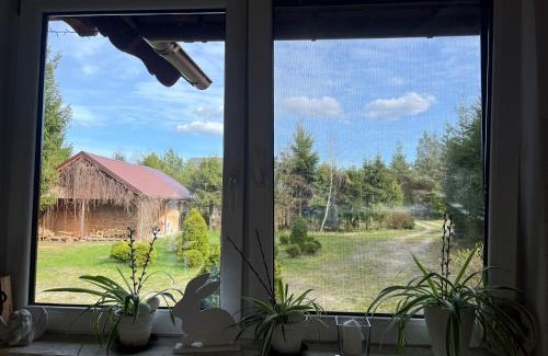 Brusy Casa | Drewniany dom w Borach Tucholskich "Twoja Ostoja"