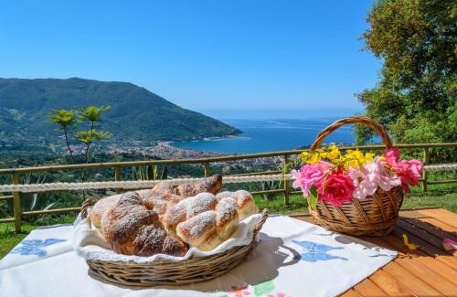 Torraca Cama Y Desayuno | Driùs edodè - b&b affittacamere