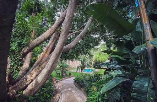 Victoria Falls Cabina | Drift Inn