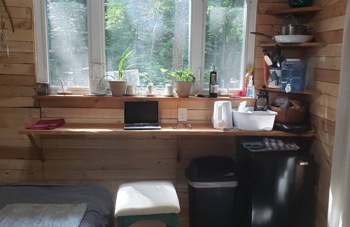 Ozone Cabina | Driftwood Treehouse Cabin w/AC, Peaceful & Cozy!