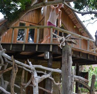 Berea Casa | Driftwood Treehouse