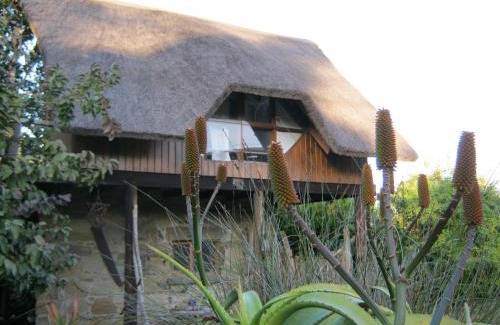 Berea Casa | Driftwood Treehouse