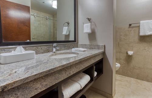 Richardson Hotel | Drury Plaza Hotel Dallas Richardson