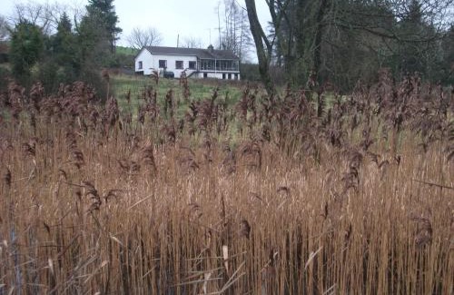 Enniskillen Casa | Dry Harbour