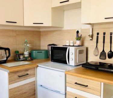 Namysłow Apartamento | Duży apartament z kuchnią i łazienką