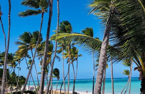 Bavaro Hotel | Ducassi Rooftop Pool Suites Los Corales Beach