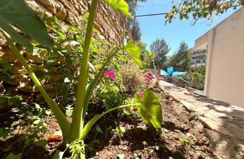 Qafe e Gjashtes Casa | Duka Apartments Sarande
