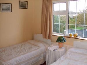 Claddagh Cama Y Desayuno | Dun Roamin