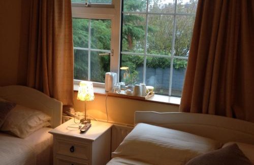 Claddagh Cama Y Desayuno | Dun Roamin