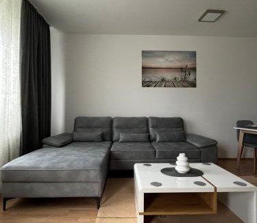 Veternik Apartamento | Dunja House