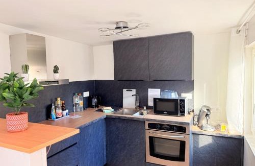 Haguenau Apartamento | Duplex Fleckenstein - Centre Historique de Haguenau