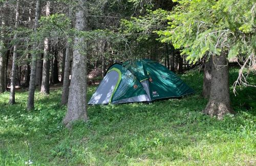 Razvrsje Apartamento | Durmitor Apartments Holiday