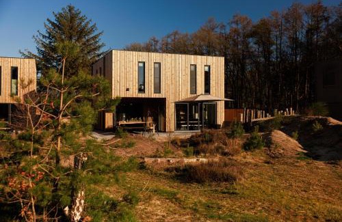 Zeegse Villa | Dutchen Zeegser Duinen Villalodges