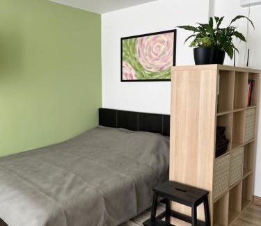 Siauliai City Center Apartamento | DvaroStudio jaukus butas centre self-check-in