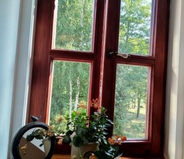 gmina Obryte Casa | Dwór Zalipie w Starych Zambskach