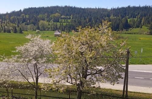 Zubrzyca Gorna Apartamento | Dwa Widoki Apartamenty