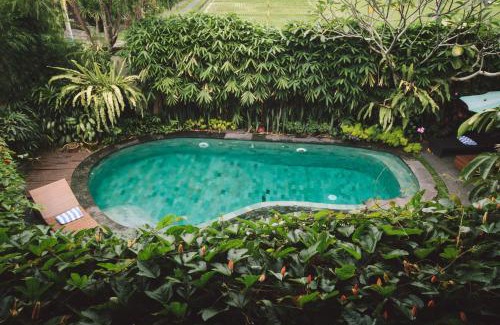 Melayang Hotel | Dwaraloka Retreat Ubud