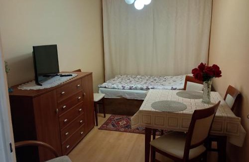 Siedlce Apartamento | Dwupokojowe mieszkanie 36 m 2 z balkonem