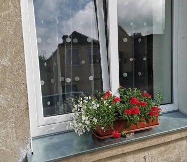 Bauska Apartamento | Dzīvoklis Vecpilsētā