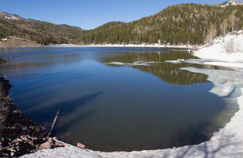 Beaver Casa | Eagle Point Ski Resort Snowflake 17