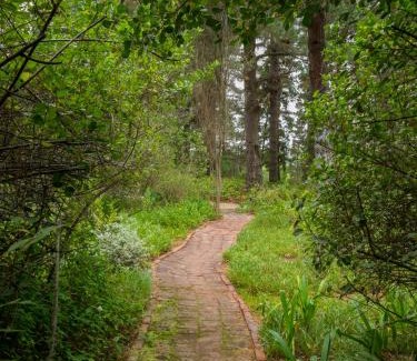 Wilderness Casa | Eagles' Call Cottages and Tent