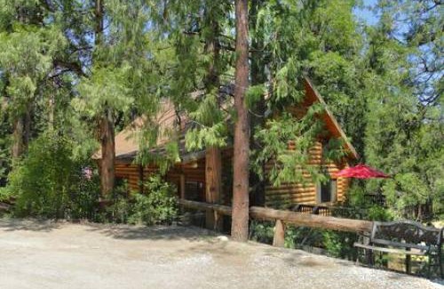 Idyllwild Casa | Eagles Nest - Natural Log Cabin with Guest House