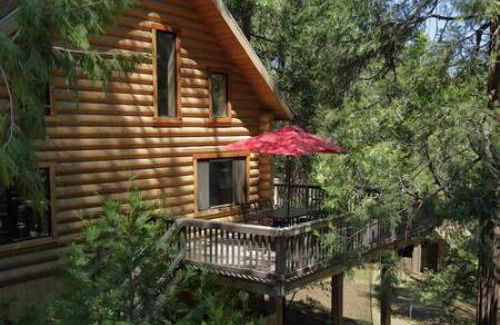 Idyllwild Casa | Eagles Nest - Natural Log Cabin with Guest House