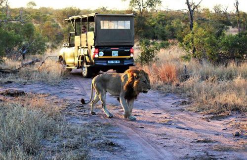 Buffelspruit Casa | Ebony House - Kruger National Park