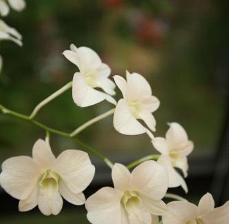 Hualien Casa | Echovilla B&B II