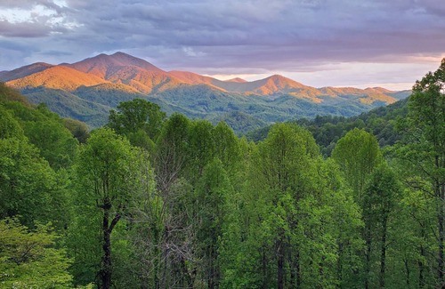 Sylva Apartamento | Eclectic Style Home, Million Dollar View!