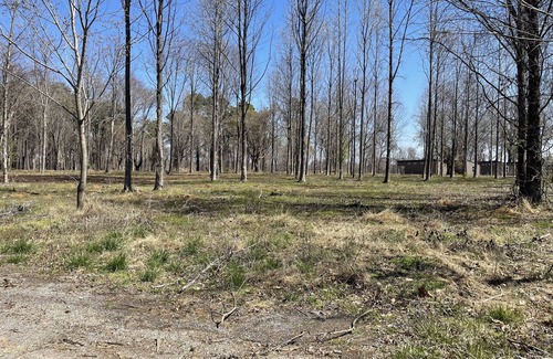 Carbondale Alquiler De RV | Eclipse Campsites Available. Waterfront views