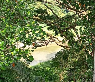 Gomagoda Hotel | Eco Bless Inn Kandy