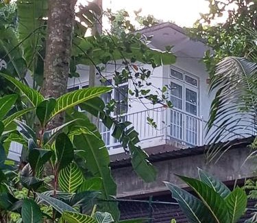 Gomagoda Hotel | Eco Bless Inn Kandy